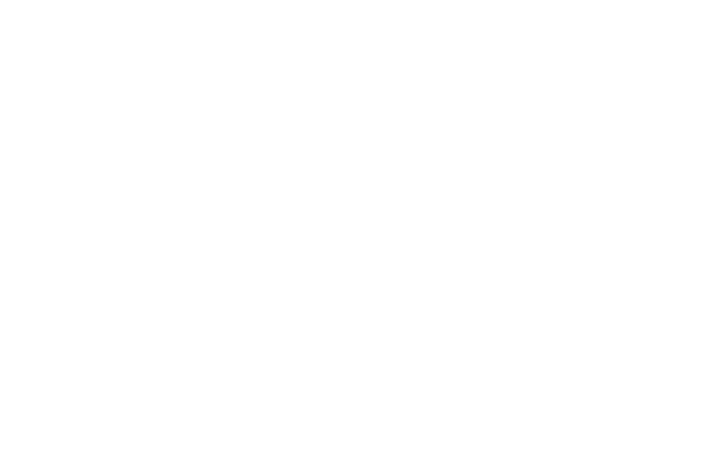 a2 painting logo white